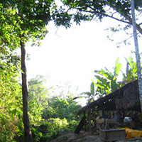 ジャングルの中の村に朝日が昇る